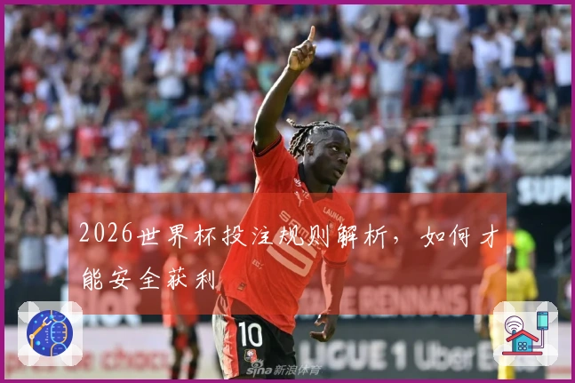 2026世界杯投注规则解析，如何才能安全获利