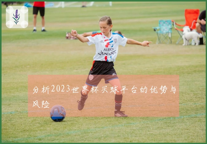 分析2023世界杯买球平台的优势与风险