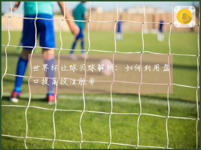 世界杯让球买球解析：如何利用盘口提高投注胜率