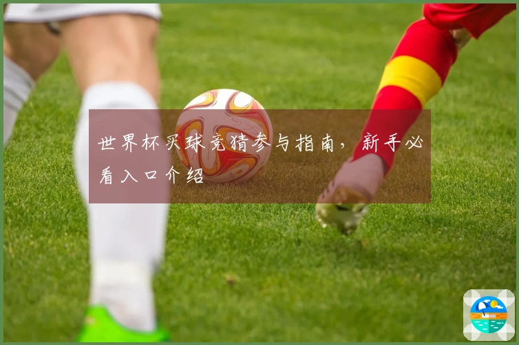 世界杯买球竞猜参与指南，新手必看入口介绍