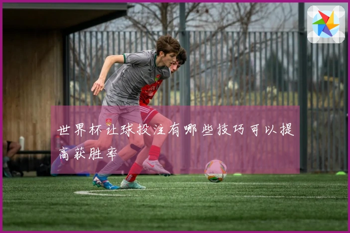 世界杯让球投注有哪些技巧可以提高获胜率