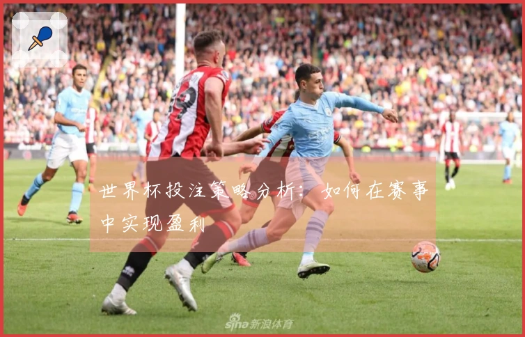 世界杯投注策略分析：如何在赛事中实现盈利