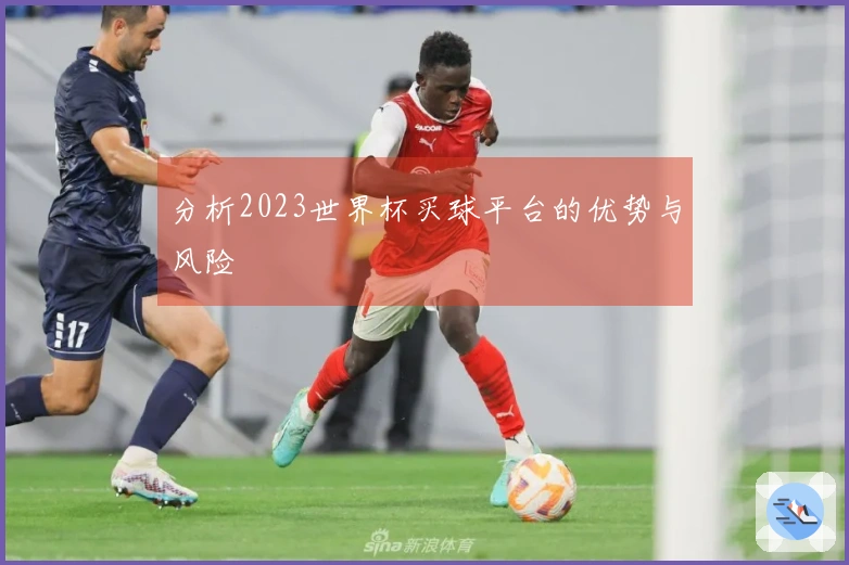 分析2023世界杯买球平台的优势与风险