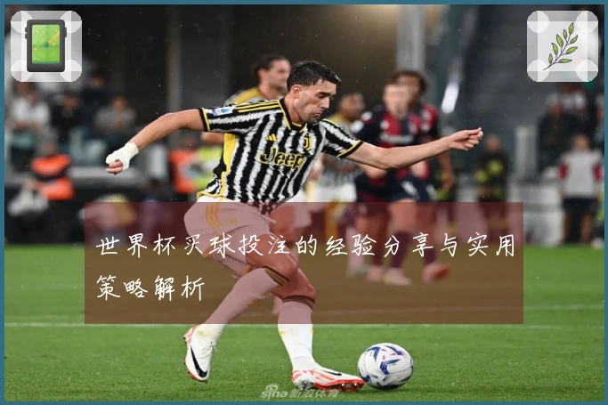 世界杯买球投注的经验分享与实用策略解析