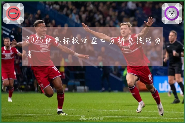 2026世界杯投注盘口分析与技巧分享