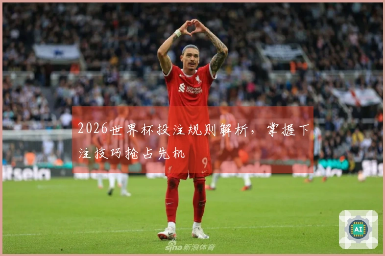 2026世界杯投注规则解析，掌握下注技巧抢占先机