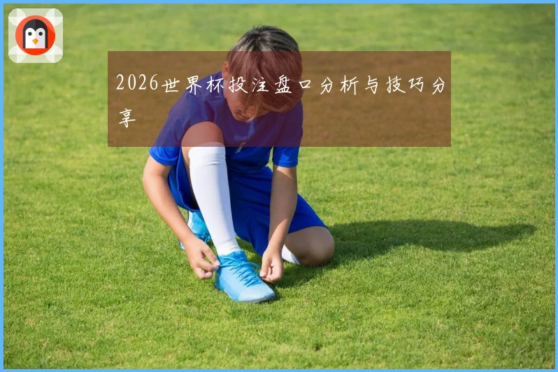 2026世界杯投注盘口分析与技巧分享