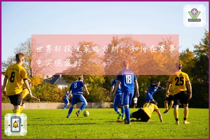 世界杯投注策略分析：如何在赛事中实现盈利