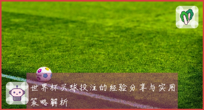 世界杯买球投注的经验分享与实用策略解析
