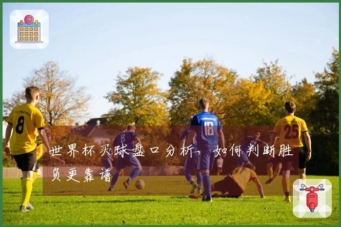 世界杯买球盘口分析，如何判断胜负更靠谱