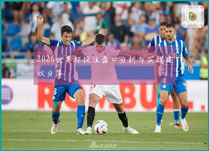 2026世界杯投注盘口分析与实战建议分享