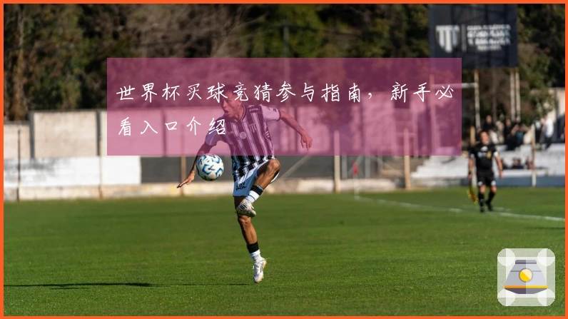 世界杯买球竞猜参与指南，新手必看入口介绍